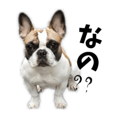 [LINEスタンプ] ちゅらちゃんちゃん
