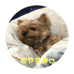 [LINEスタンプ] ちぇりー。My love