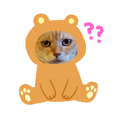 [LINEスタンプ] 老猫❣みいちゃん