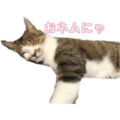 [LINEスタンプ] はなちゃん＊＊