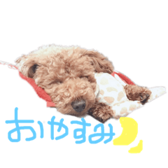 [LINEスタンプ] 三浦家。