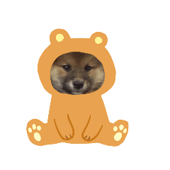 [LINEスタンプ] SHIBA-Fuku