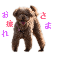 [LINEスタンプ] ルイプースタンプ