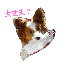 [LINEスタンプ] パピヨンのマック