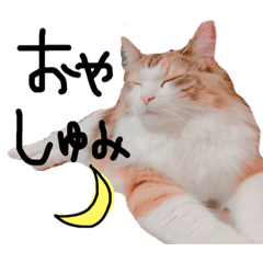 [LINEスタンプ] にゃんとーく①