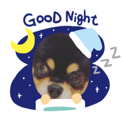 [LINEスタンプ] ブラックタンチワワ