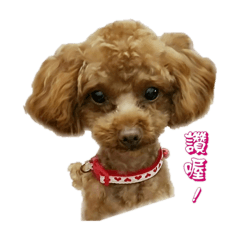 [LINEスタンプ] 俺のドラゴン2