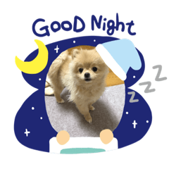 [LINEスタンプ] まるこはオリジナルスタンプ