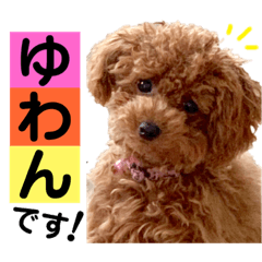 [LINEスタンプ] ゆわんstamp