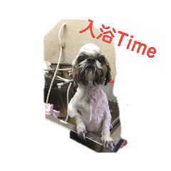 [LINEスタンプ] シーズー犬親子のキアヌとレオン