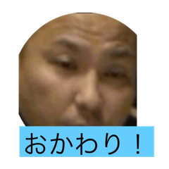 [LINEスタンプ] ポコ先輩3/17