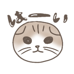 [LINEスタンプ] スコティッシュフォールドのシフォンと一緒