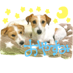 [LINEスタンプ] きい＆てて