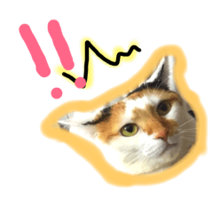 [LINEスタンプ] りんず日和 