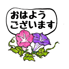 [LINEスタンプ] 夏のお花たち