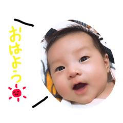 [LINEスタンプ] すうちゃんの挨拶スタンプ fetchpriority=high
