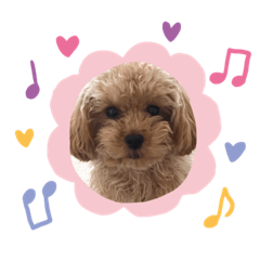 [LINEスタンプ] わんこの日常3