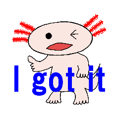 [LINEスタンプ] メキシコサンショウウオ
