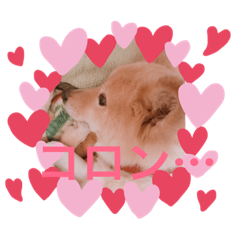 [LINEスタンプ] 可愛いシプレスタンプ♡