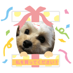 [LINEスタンプ] ゆめしゃん！ fetchpriority=high