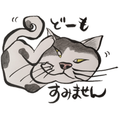 [LINEスタンプ] Rescue Cats Nekodokoro2の画像（メイン）