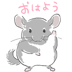 [LINEスタンプ] チンチラ ゆるかわ手描きタッチのスタンプ