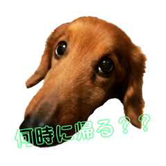 [LINEスタンプ] ちゃぴ爺さんのご隠居生活