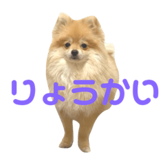 [LINEスタンプ] てるやまきなこ