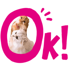 [LINEスタンプ] こなつちゃんとかりんちゃん
