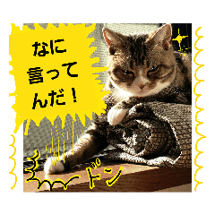 [LINEスタンプ] 桃日々のいろいろな表情