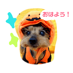 [LINEスタンプ] チャッピーくんの日常