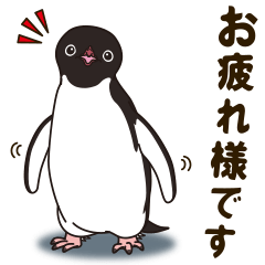 [LINEスタンプ] 気さくなペンギン