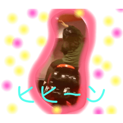 [LINEスタンプ] 馬馬馬馬馬馬馬馬馬 