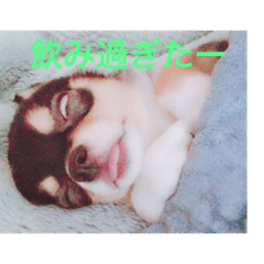 [LINEスタンプ] べこ