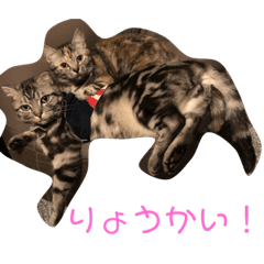 [LINEスタンプ] らばらばらばーず 