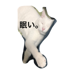 [LINEスタンプ] ぎんの日常である 