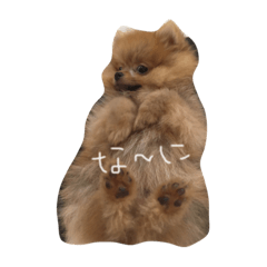 [LINEスタンプ] イヌとボク
