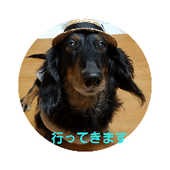 [LINEスタンプ] 一言コメント～