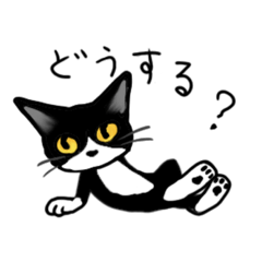 [LINEスタンプ] やんちゃ猫会話