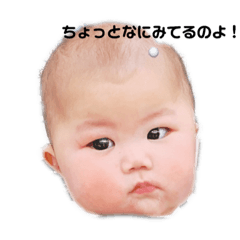 [LINEスタンプ] 碧蘭たんスタンプ♥