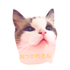 [LINEスタンプ] みるう