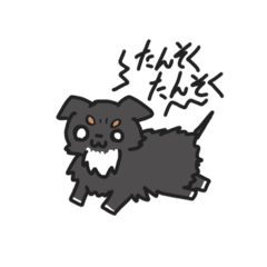 [LINEスタンプ] ドワーフチワワの日常