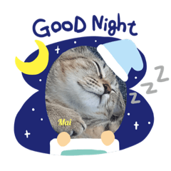 [LINEスタンプ] 猫スタンプ5匹ver【毎日使える日常編】
