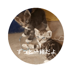 [LINEスタンプ] ずっと好きだよ