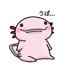 [LINEスタンプ] ウーパールーパーのうぱお fetchpriority=high