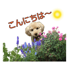 [LINEスタンプ] アーチ君