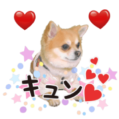 [LINEスタンプ] やっぱりココ