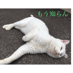 [LINEスタンプ] 道で出会った皆様方  ❶