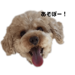 [LINEスタンプ] ゴン太の一日 