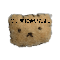 [LINEスタンプ] 学生が使えるスタンプ 